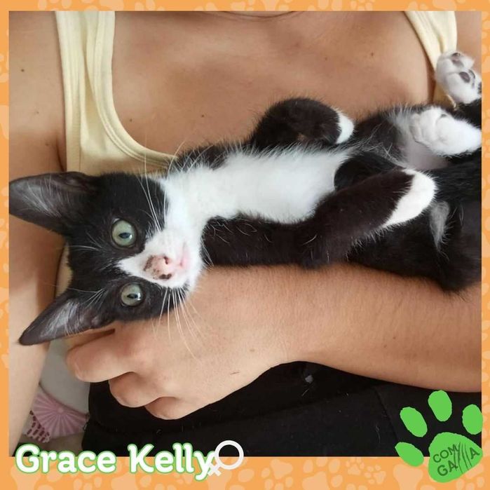 Menina, 2,5 meses, Para adoção