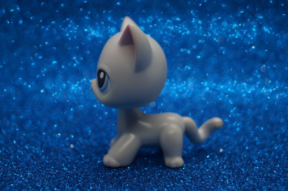 Littlest Pet Shop LPS #246 shorthair oryginalny cat pop Hasbro