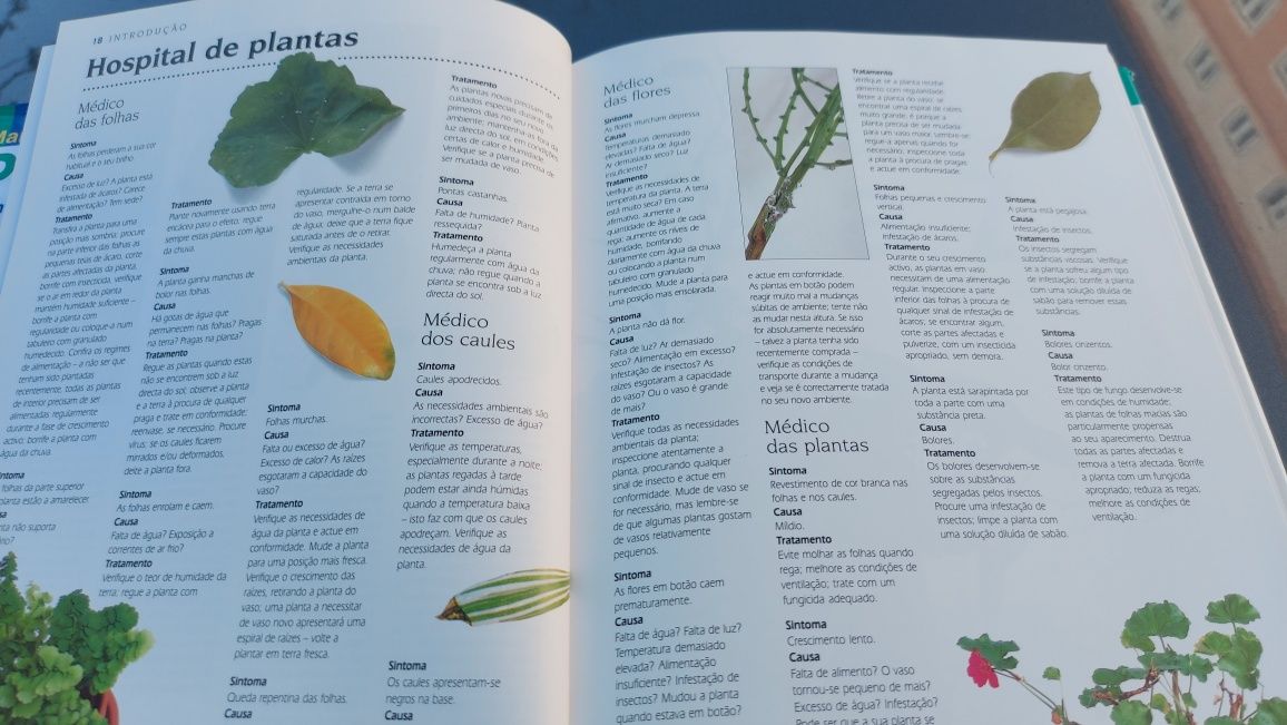 Manual Prático de Plantas do Interior de Jane Bland e William Davidson