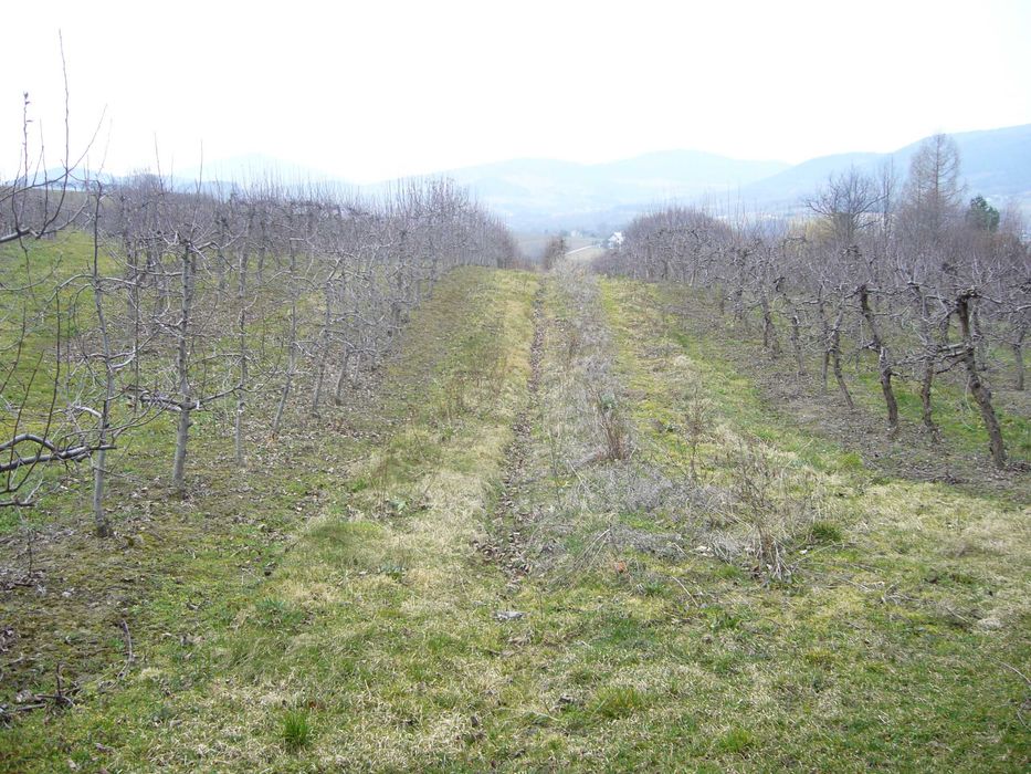 Szczyrzyc Janowice - działka rolno-leśna z potencjałem budowlanym