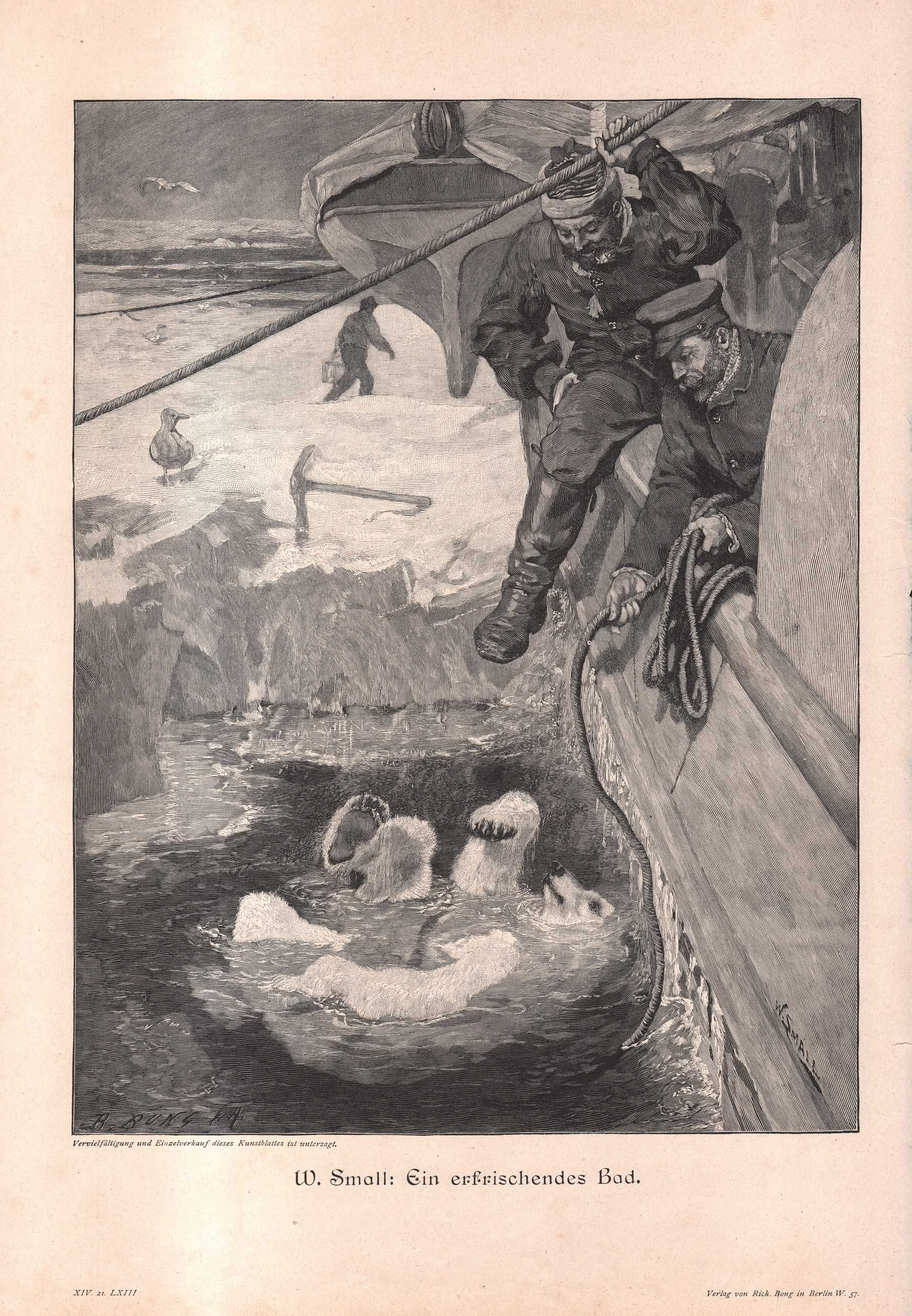 Small: Wyprawa polarna niedźwiedź. Drzeworyt 1900 r. autentyk