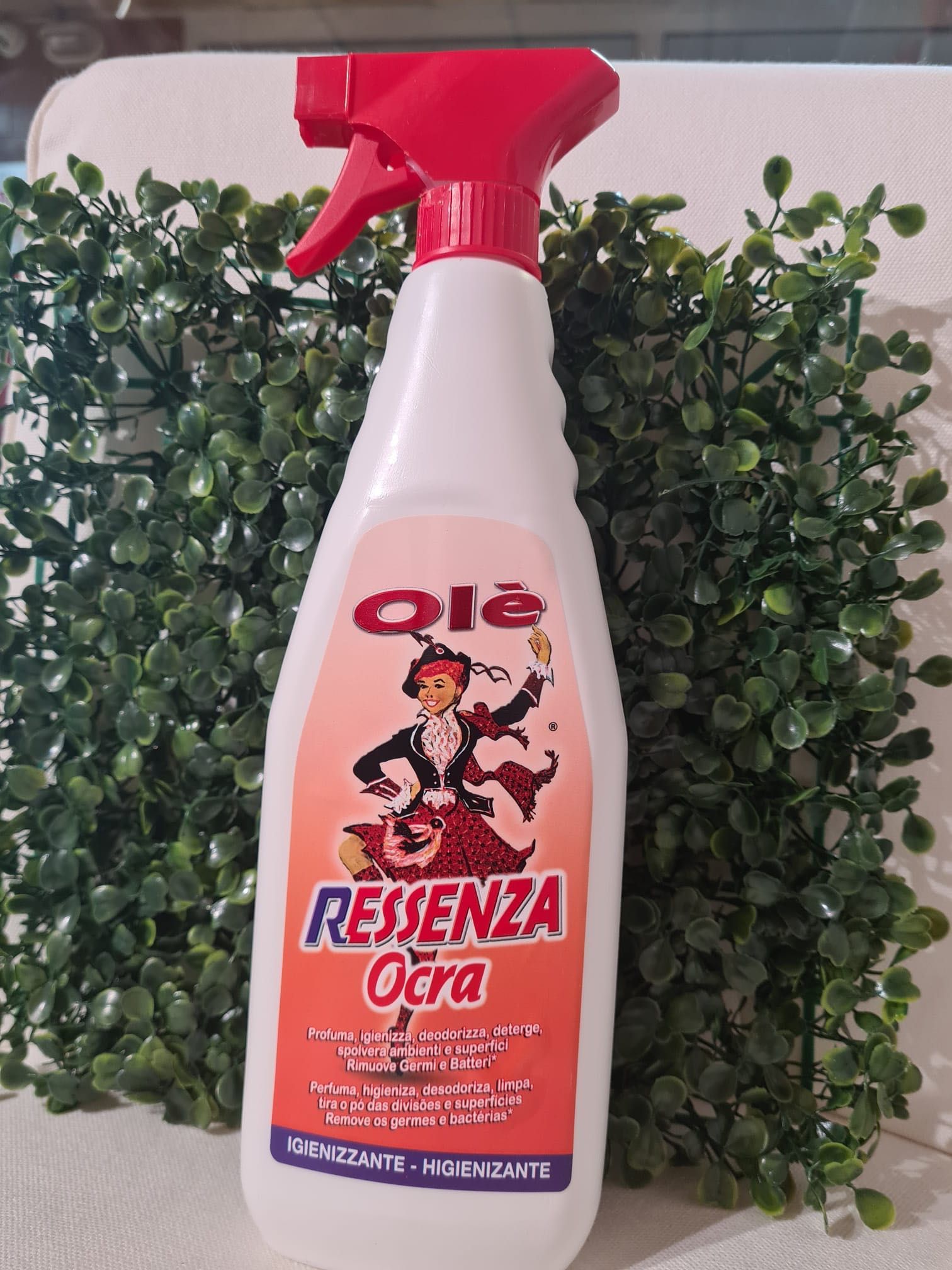 Produto Desinfetante e Limpeza Multi Perfumado LANÇAMENTO EM PORTUGAL