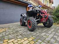 Can Am renegade 800x 4x4