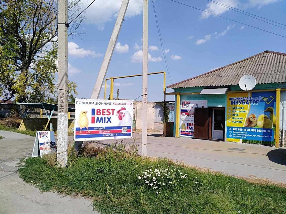 Курчата бройлера кобб 500