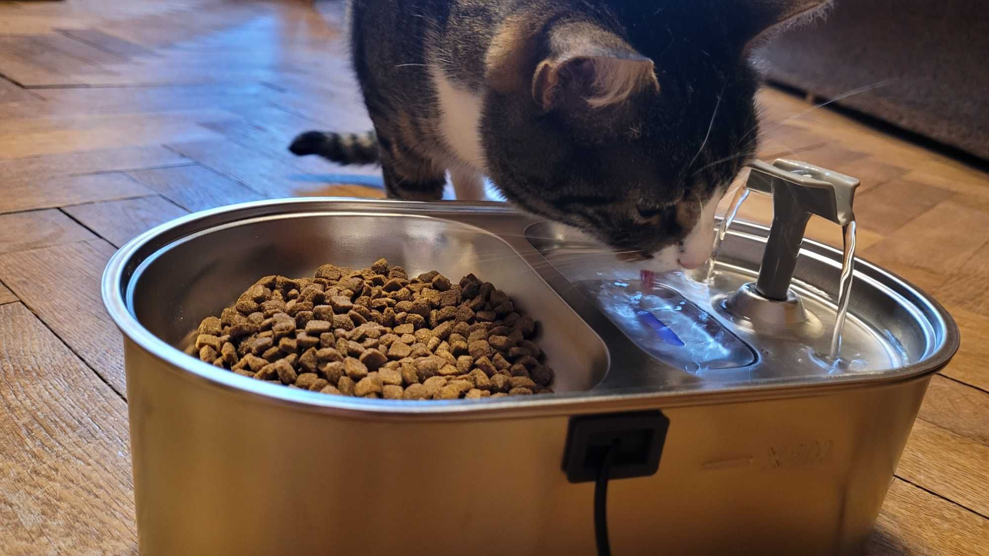 poidło dla kota, psa fontanna miska na karmę i wodę