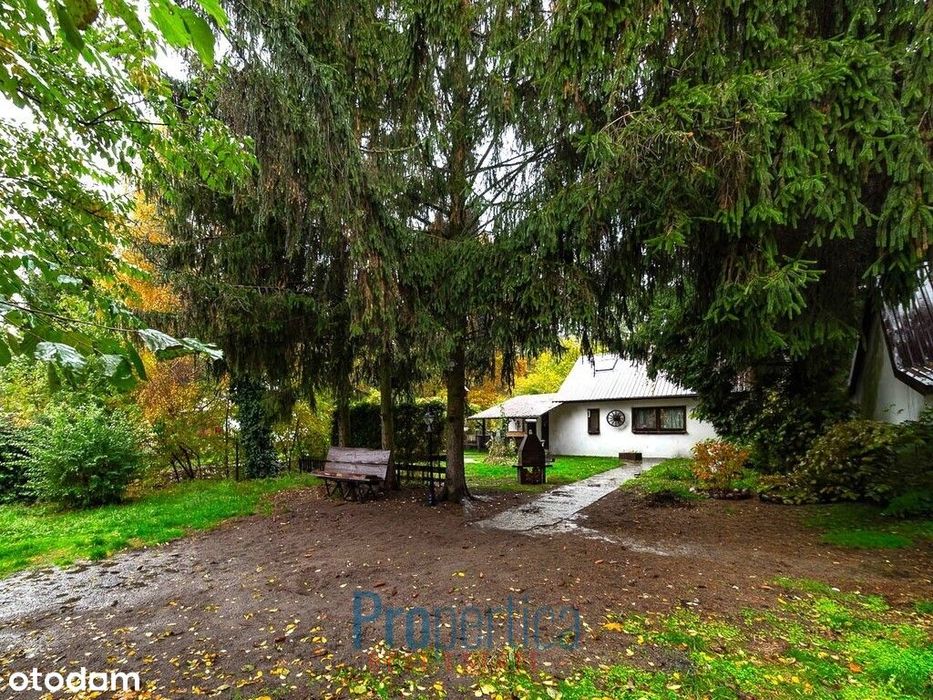 * Domek w otulinie zieleni z dobrą komunikacją *