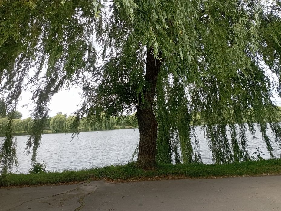 Будинок на Гідропарку