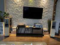 Kolumny swans RM 301F