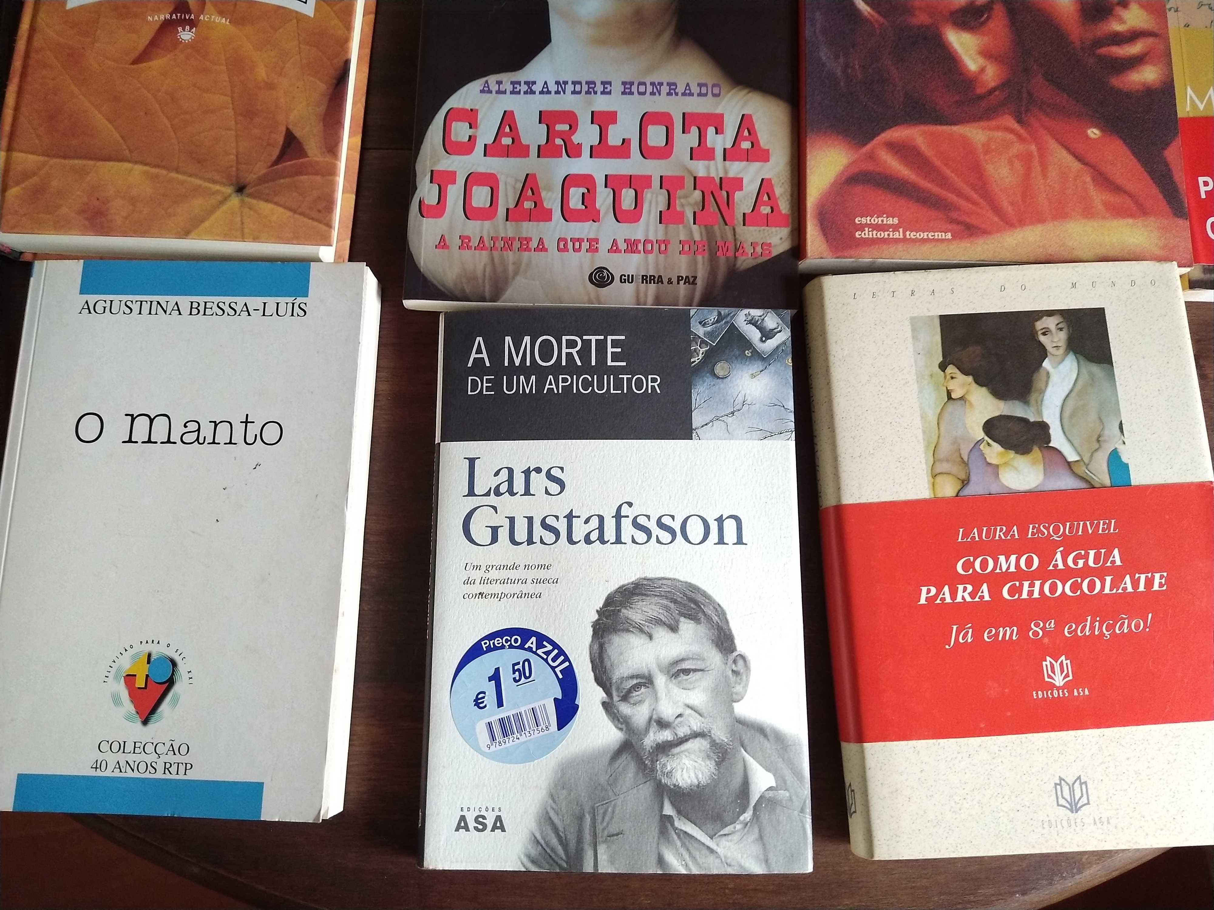 Livros de diversos tipos de literatura