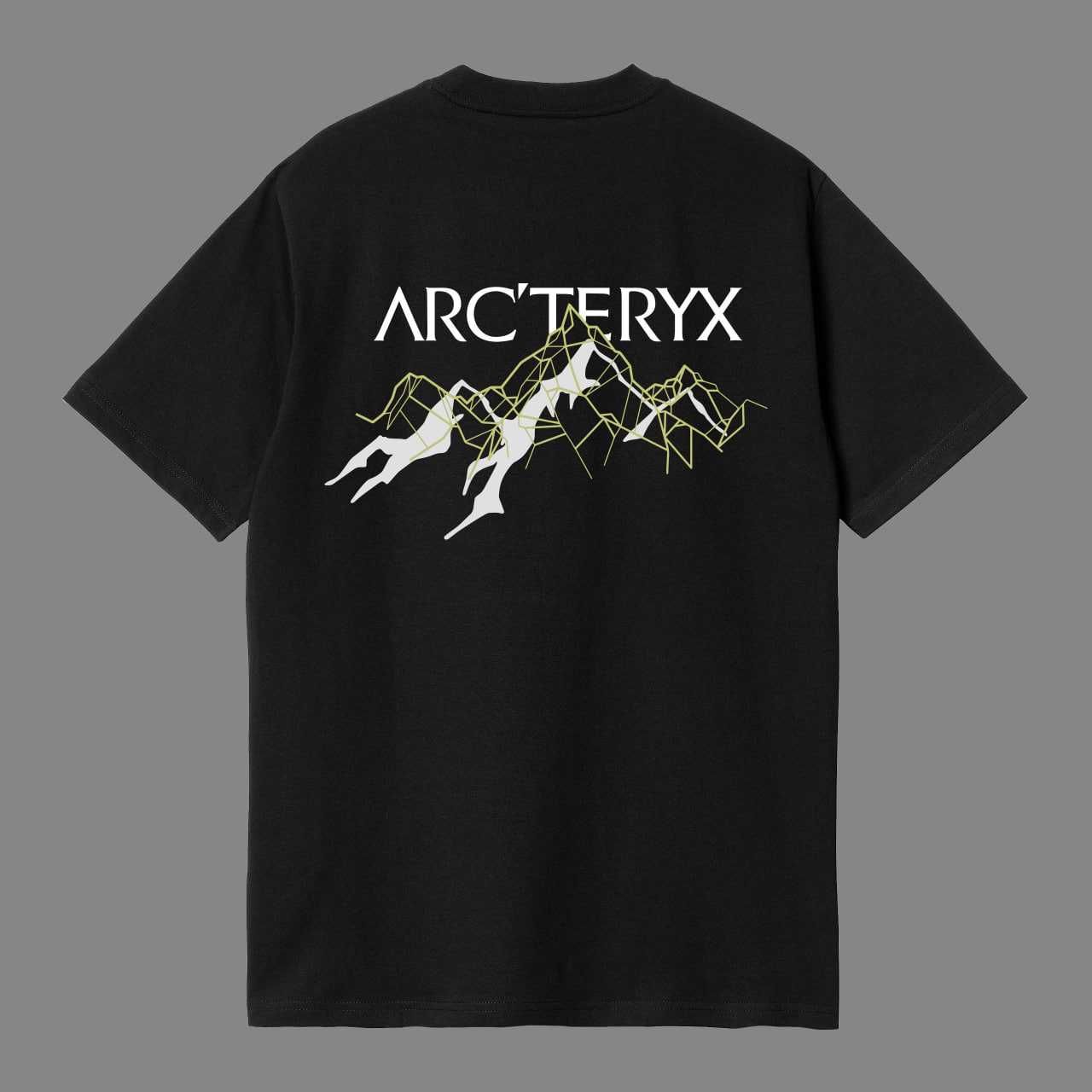 Футболка арктерикс артерикс arcteryx arteryx горы спина черная