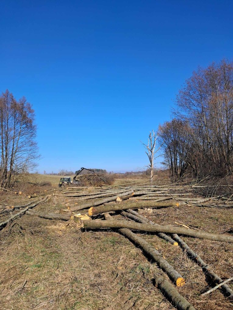 Koszenie nieuzytków , wycinka , mulczowanie