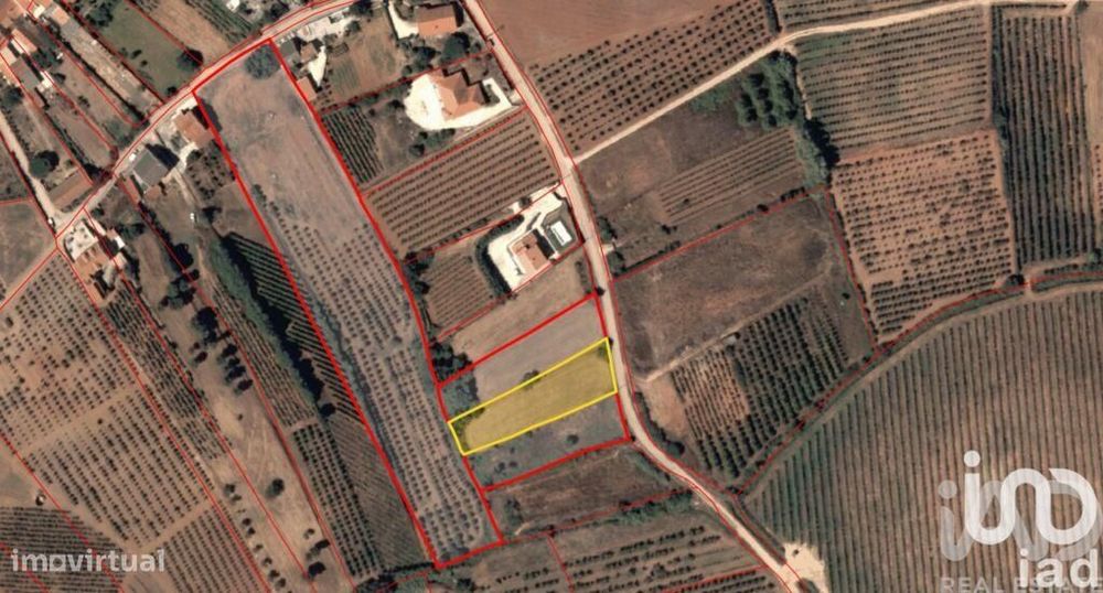 Terreno Agrícola em Cadaval e Pêro Moniz