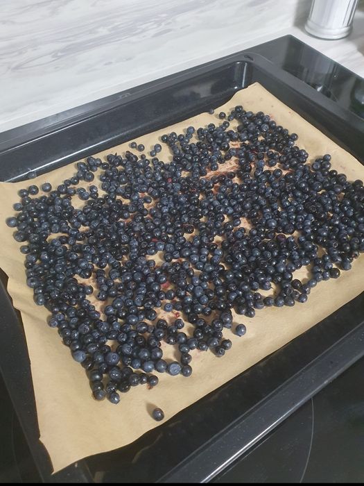 Чорниця сушена 1000 грн