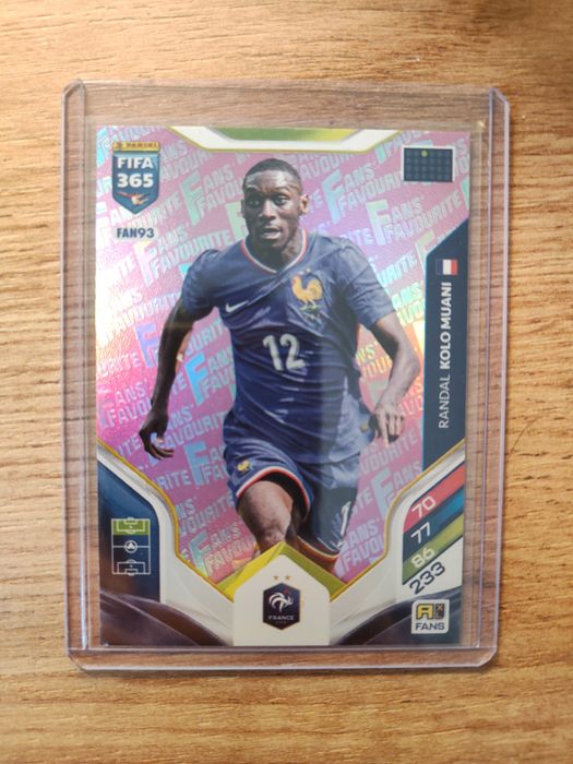 Karty Fans Favourite Pink FIFA 365