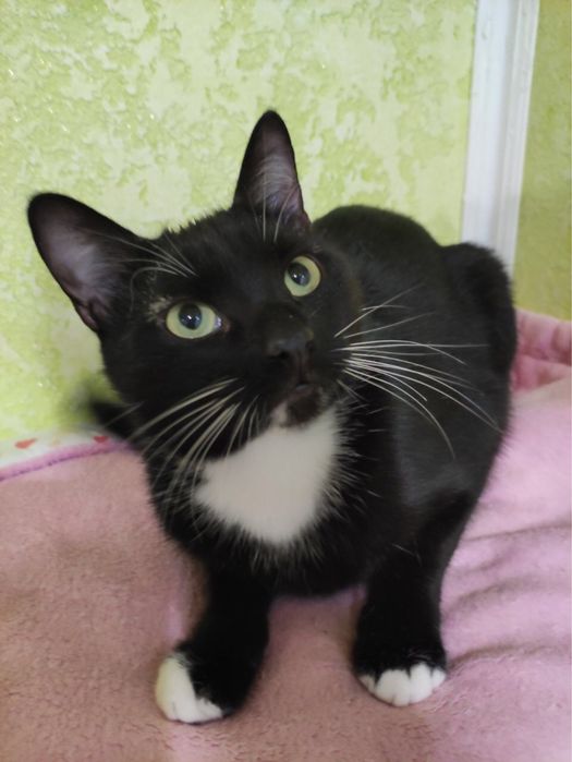 Красунчик зачекався на своє щастя!