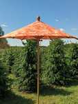 Parasole,,Premium ,,