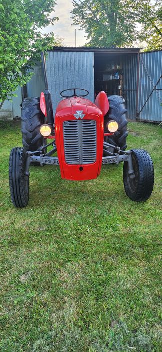 Massey Ferguson FE35 benzyna