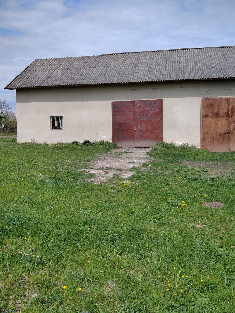 Комерційне приміщення