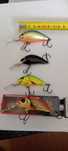 Wobler Salmo Hornet, Executor