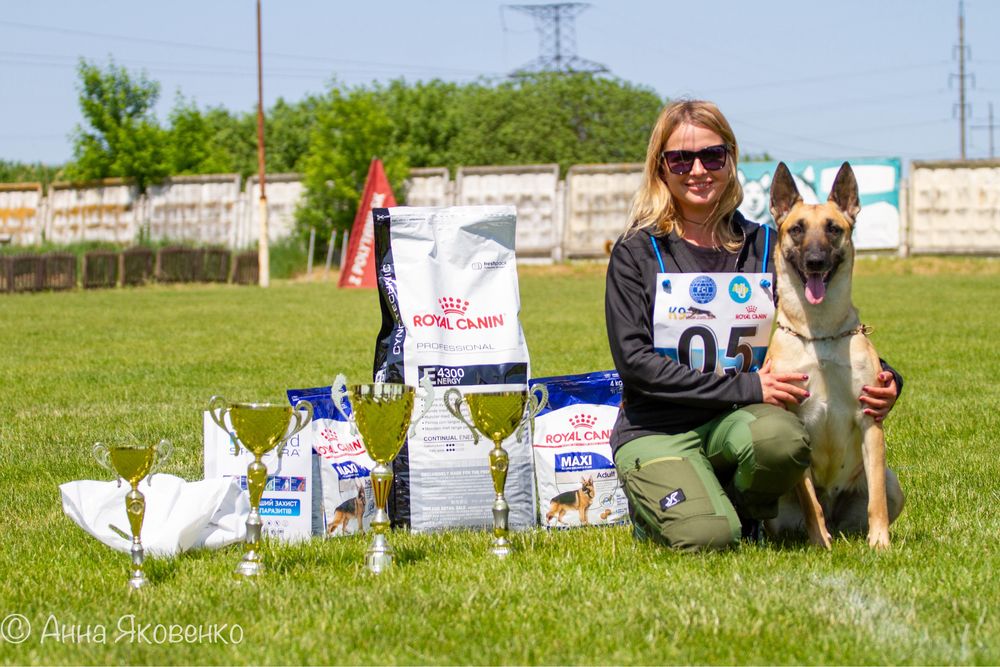 Дресирування собак, кінолог, Київ, Бориспіль, Бориспільский район