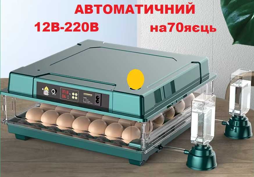 Автоматический инкубатор 220/12В Птаха на 70 яиц Інкубатор пластиковий