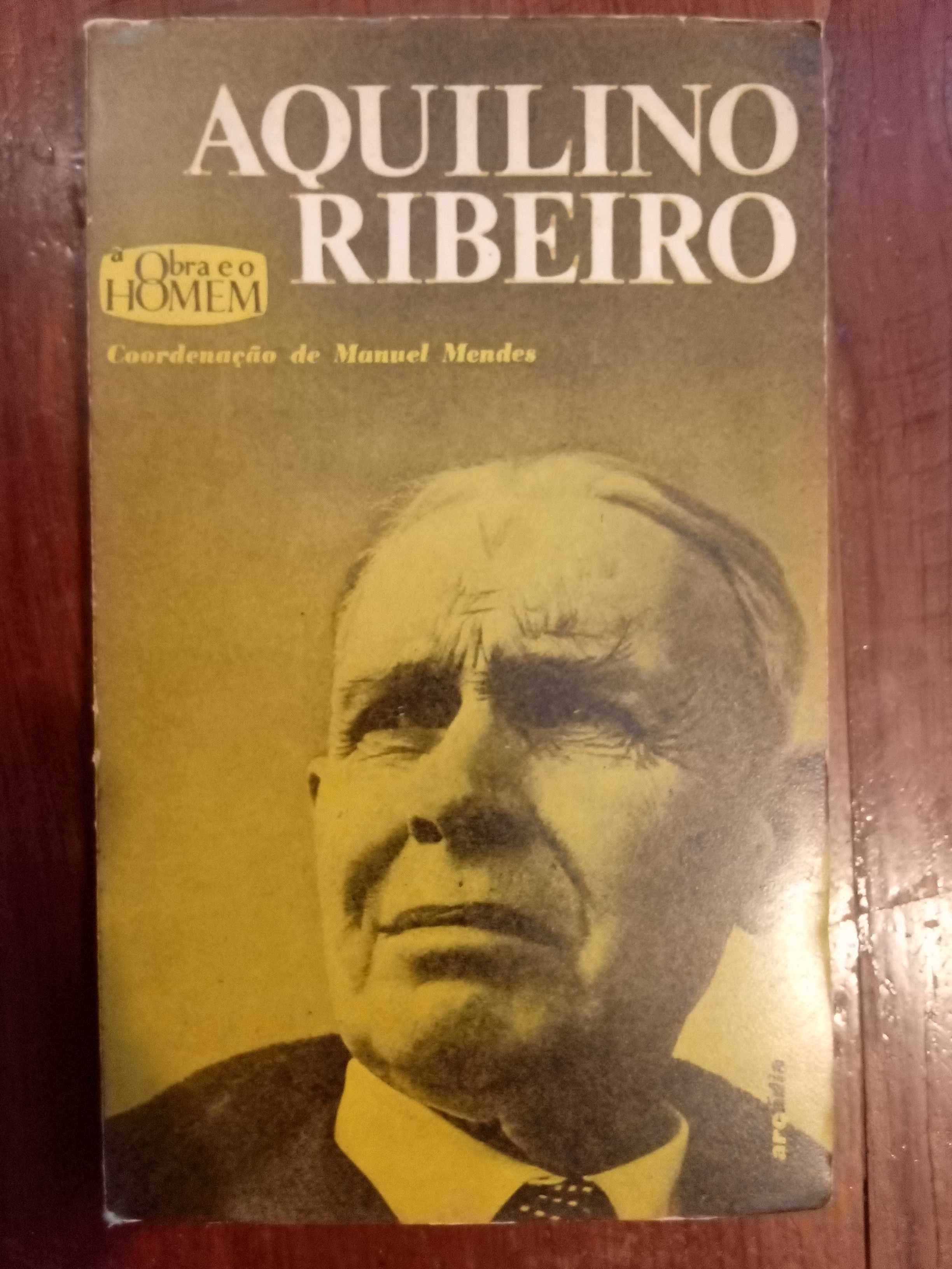 Manuel Mendes (coord.) - Aquilino Ribeiro