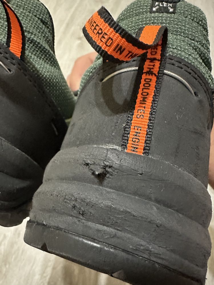 Трекінгові кросівки Salewa Alp Trainer 2 GTX