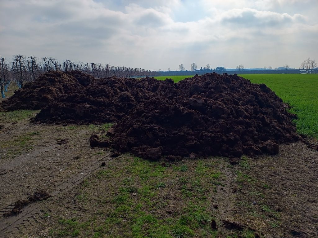 Obornik Bydlęcy, Dostawa , Kora pod borówkę