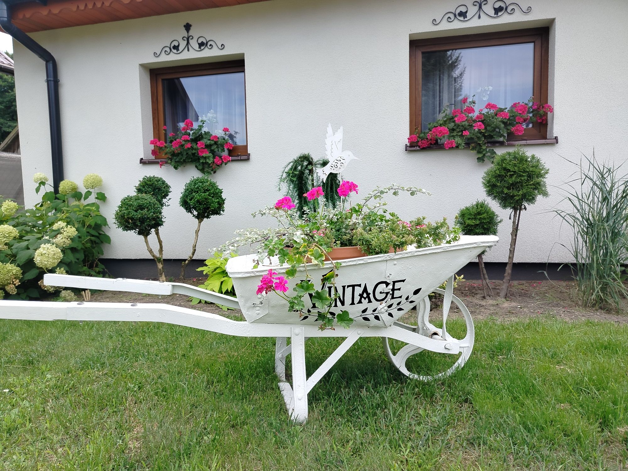 Sielskie Mazury.