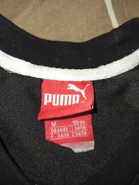 Продам кофту, олимпийку, свитшот Puma Adidas на мальчика 160-165.