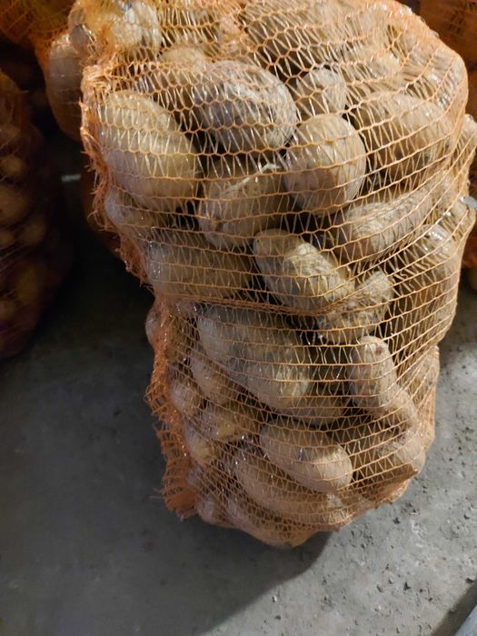 Sprzedam Ziemniaki jadalne , Jurek,   na oborniku