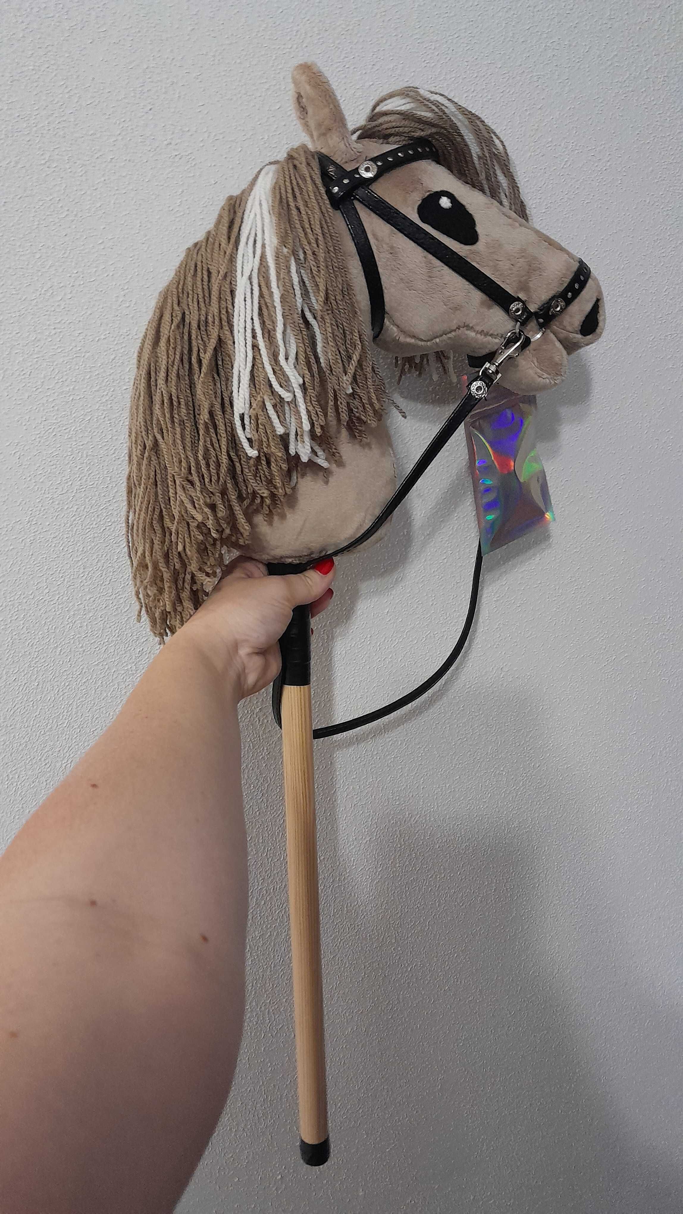 Hobby horse konik