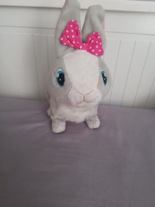 Królik interaktywny tusia