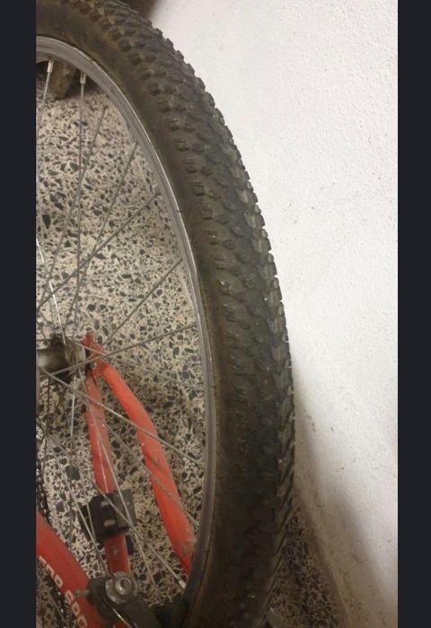 Desportivas com boa situação