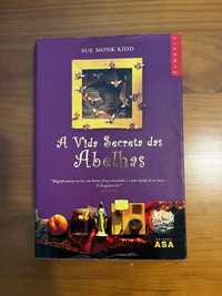 Romance A Vida Secreta das Abelhas - Sue Monk Kidd