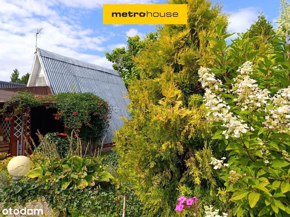 Działka na sprzedaż, Sokolniki-Las1