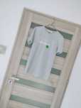 Szary t-shirt Plants by paprocki&brzozowski roz S