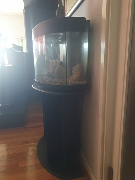 Aquario com movel