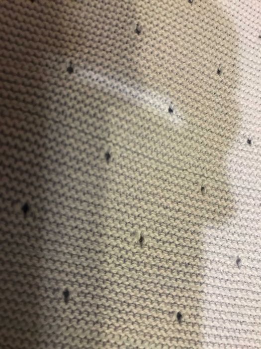 sweterek  coccodrillo nowy