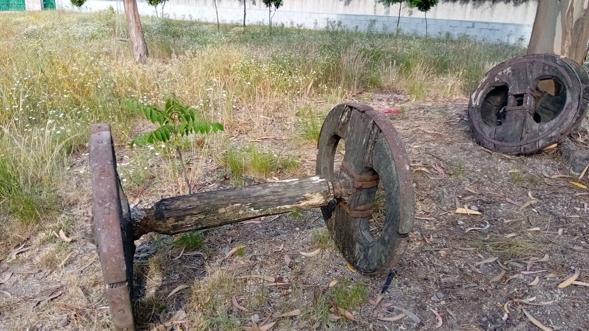 Eixo de carro de bois muito antigo