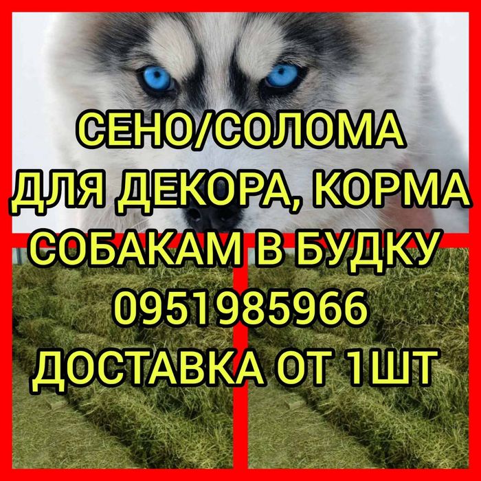 СЕНО СОБАКАМ на подстилку в тюках мешках посевное и др, сіно корм.