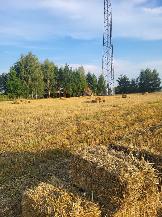 Sprzedam slome w małych kostkach 2025