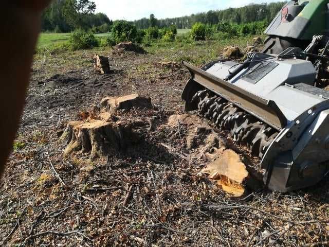 wycinka,głęboka rekultywacja,mulczowanie,przekształcenie lasu w pole