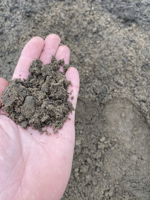 !!Ziemia pod trawnik/wyrównanie terenu!!