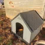 Casota de cão porte grande