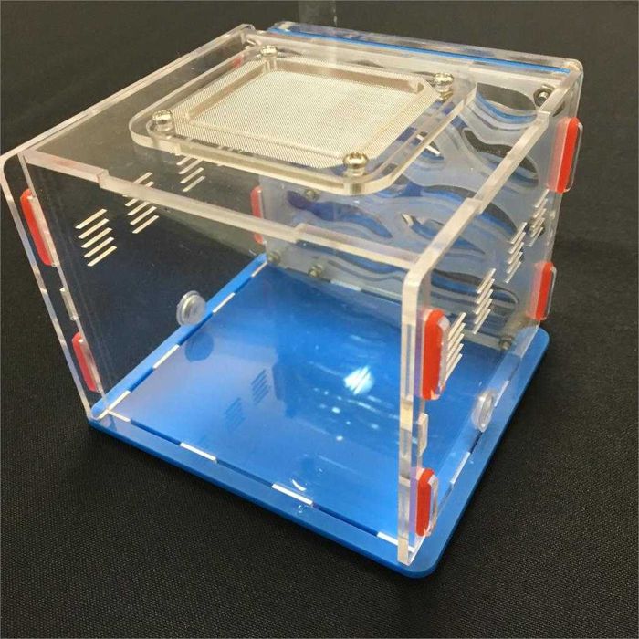 Formicario Ant Farm Formicarium formigas estimação com bebedouro NOVO
