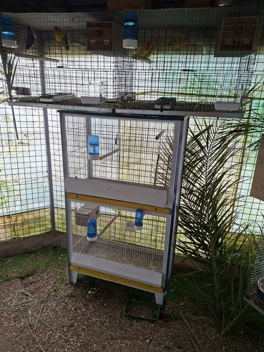 Gaiolas e voadeiras usadas