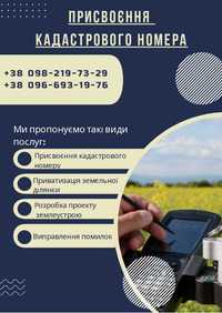 Кадастровий номер, приватизація, топографічна зйомка