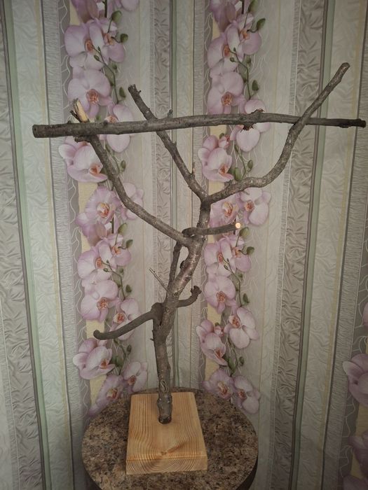 Стенд/присада для папуги