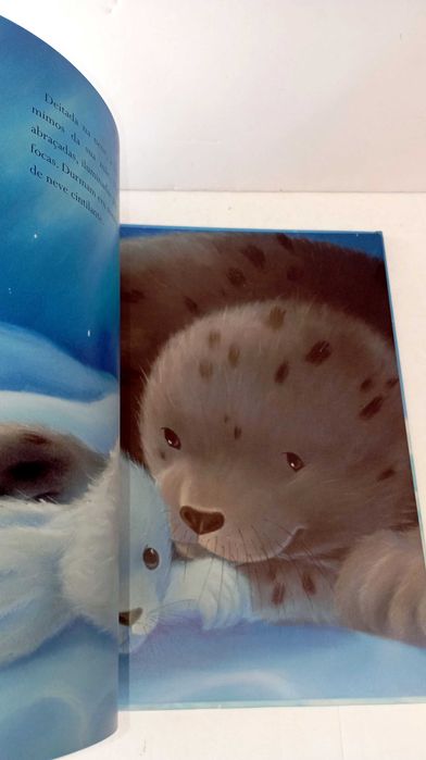 Onde a Neve Cai - Ed. Educação Naciona